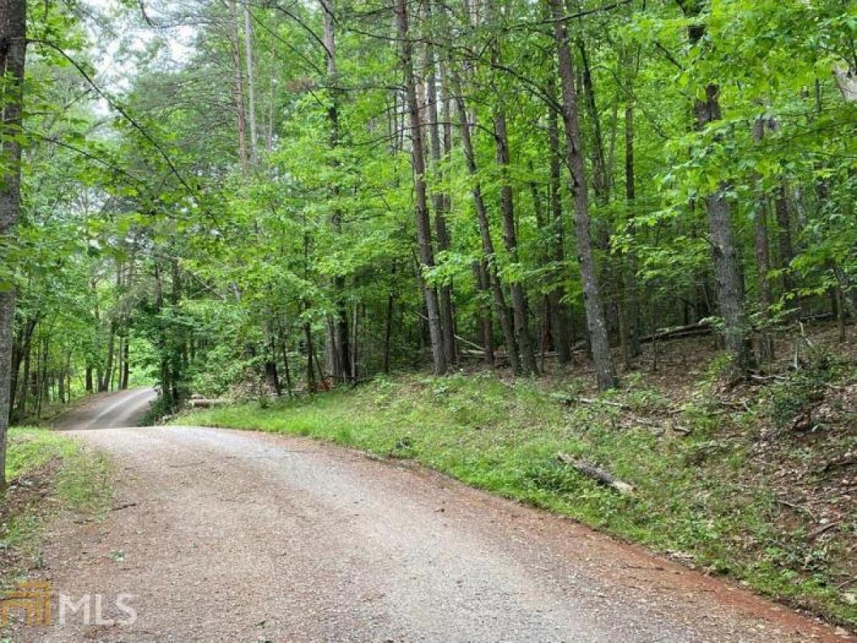 Picture of Residential Land For Sale in Blairsville, Georgia, United States