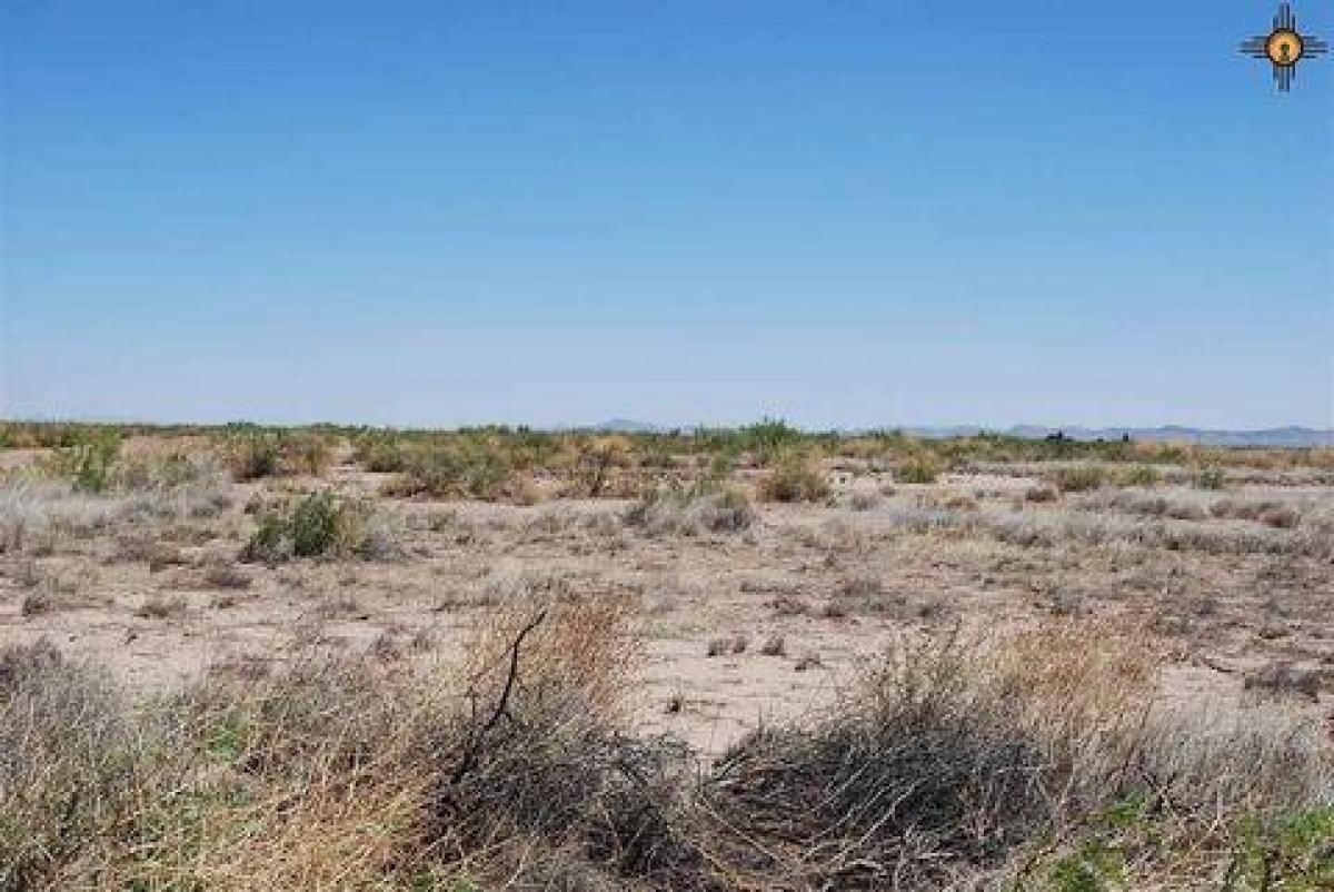 Picture of Residential Land For Sale in Deming, New Mexico, United States