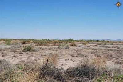 Residential Land For Sale in Deming, New Mexico