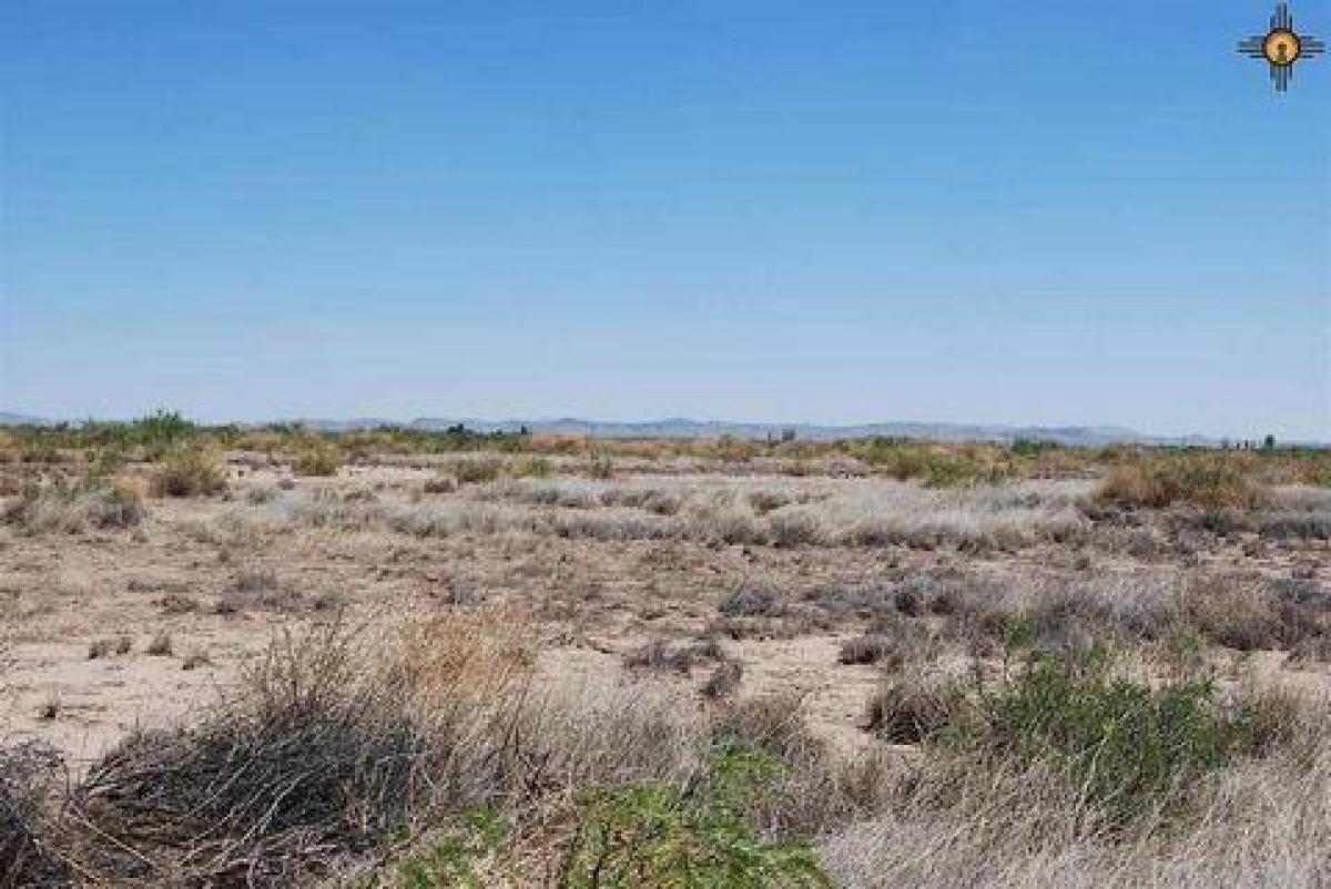 Picture of Residential Land For Sale in Deming, New Mexico, United States