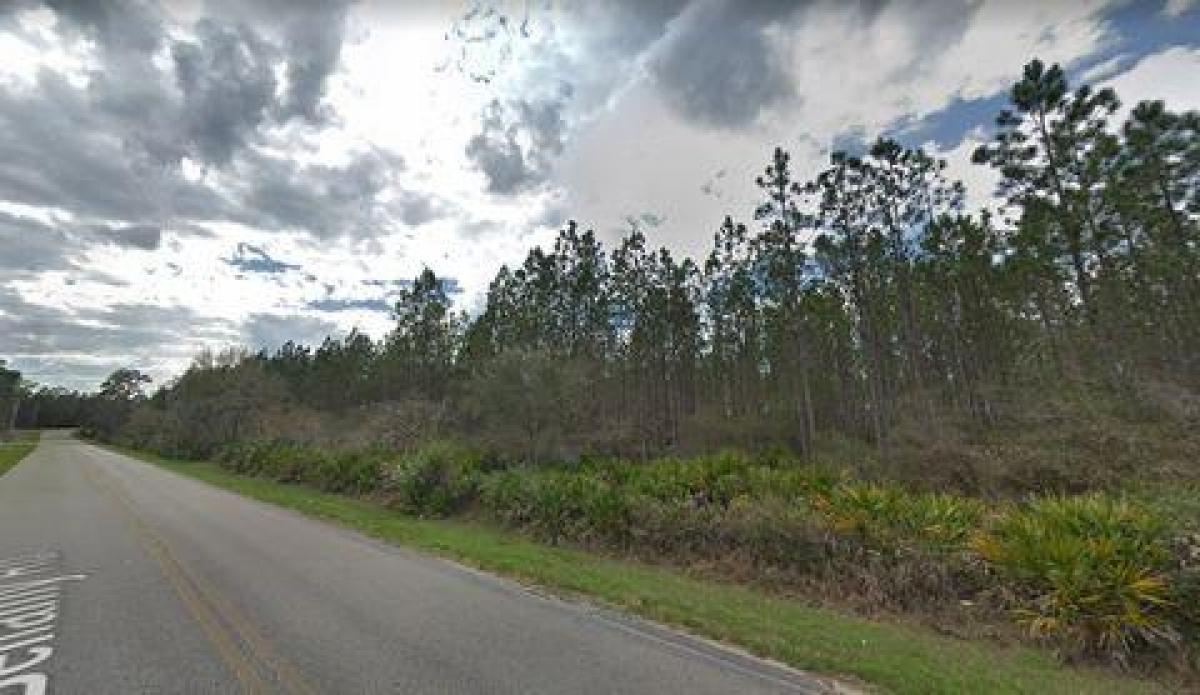 Picture of Residential Land For Sale in Florahome, Florida, United States