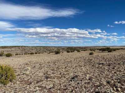 Residential Land For Sale in Concho, Arizona