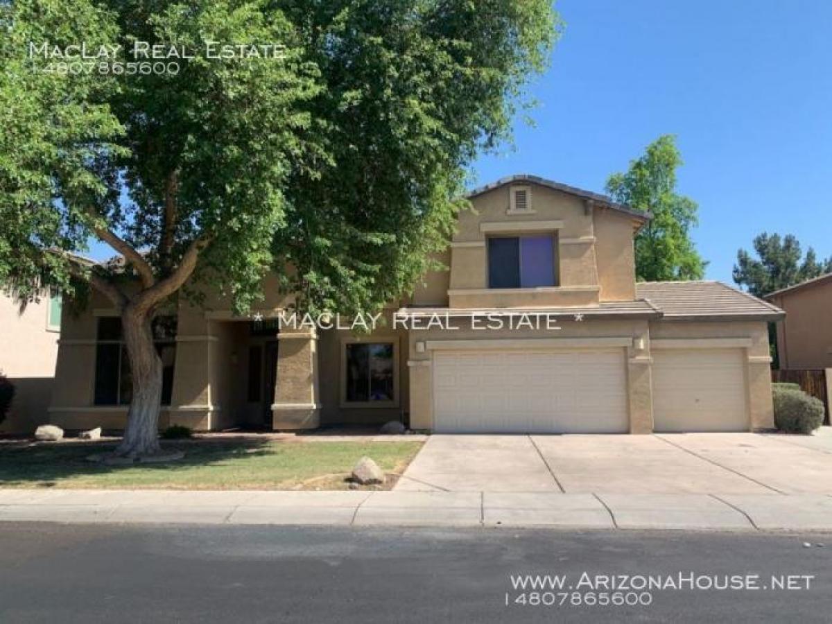 Picture of Home For Rent in Gilbert, Arizona, United States