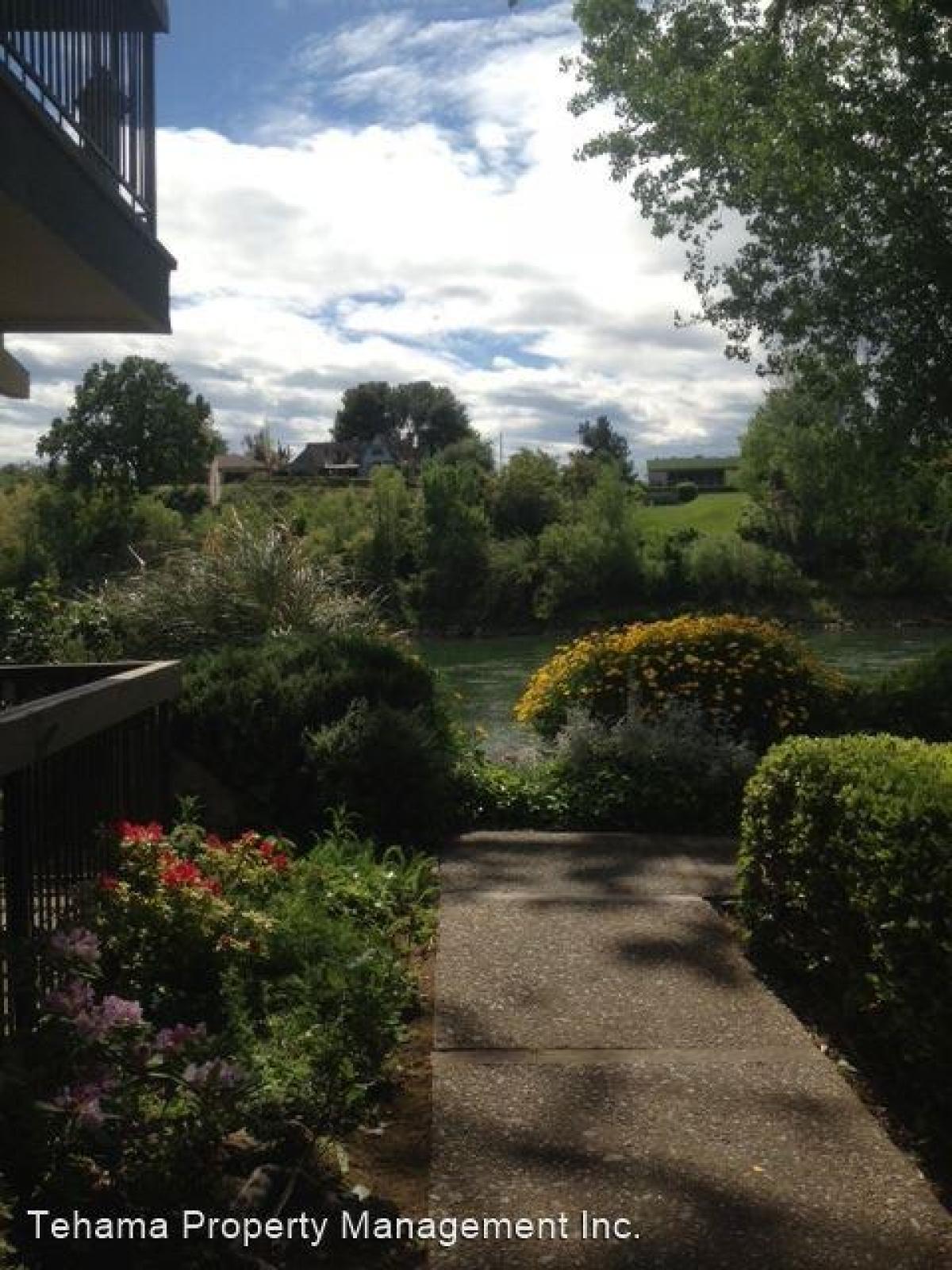 Picture of Apartment For Rent in Red Bluff, California, United States