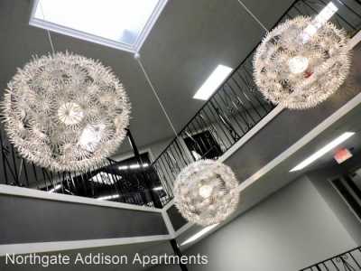 Apartment For Rent in 