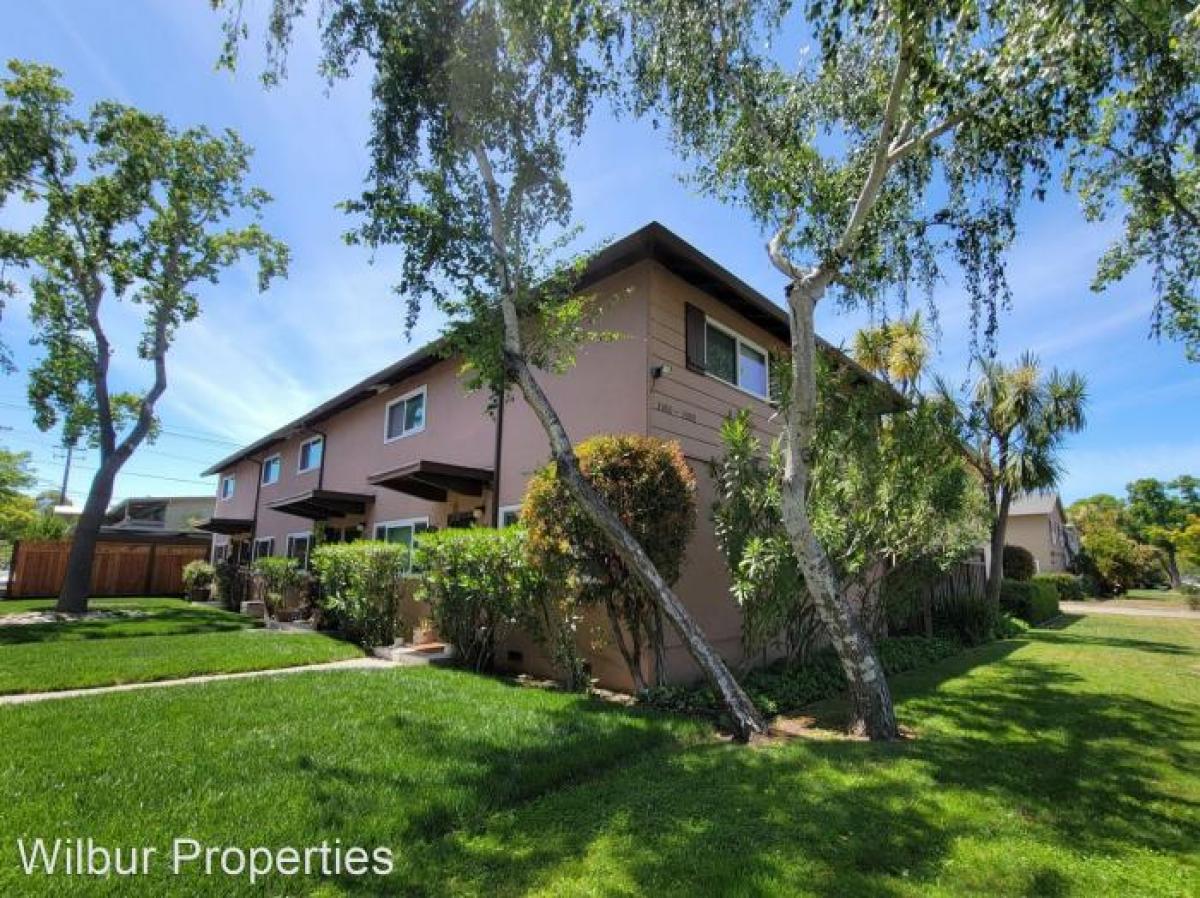 Picture of Apartment For Rent in Palo Alto, California, United States