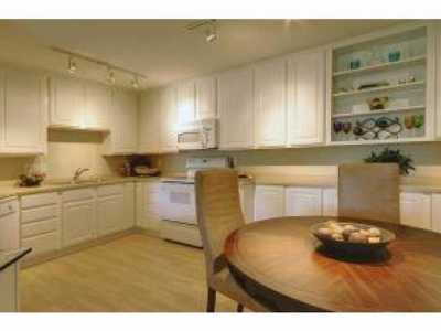 Apartment For Rent in 