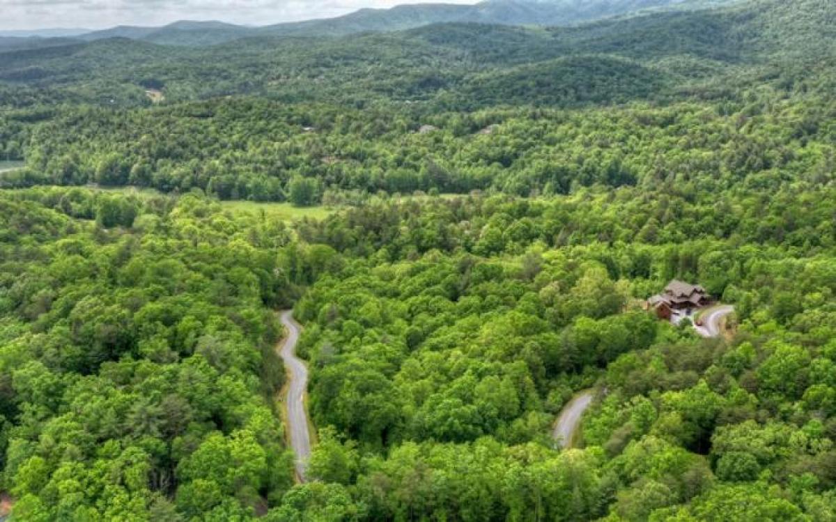 Picture of Residential Land For Sale in Ellijay, Georgia, United States