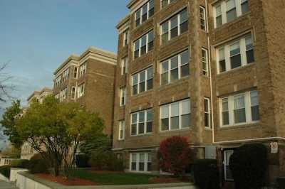 Apartment For Rent in Brighton, Massachusetts