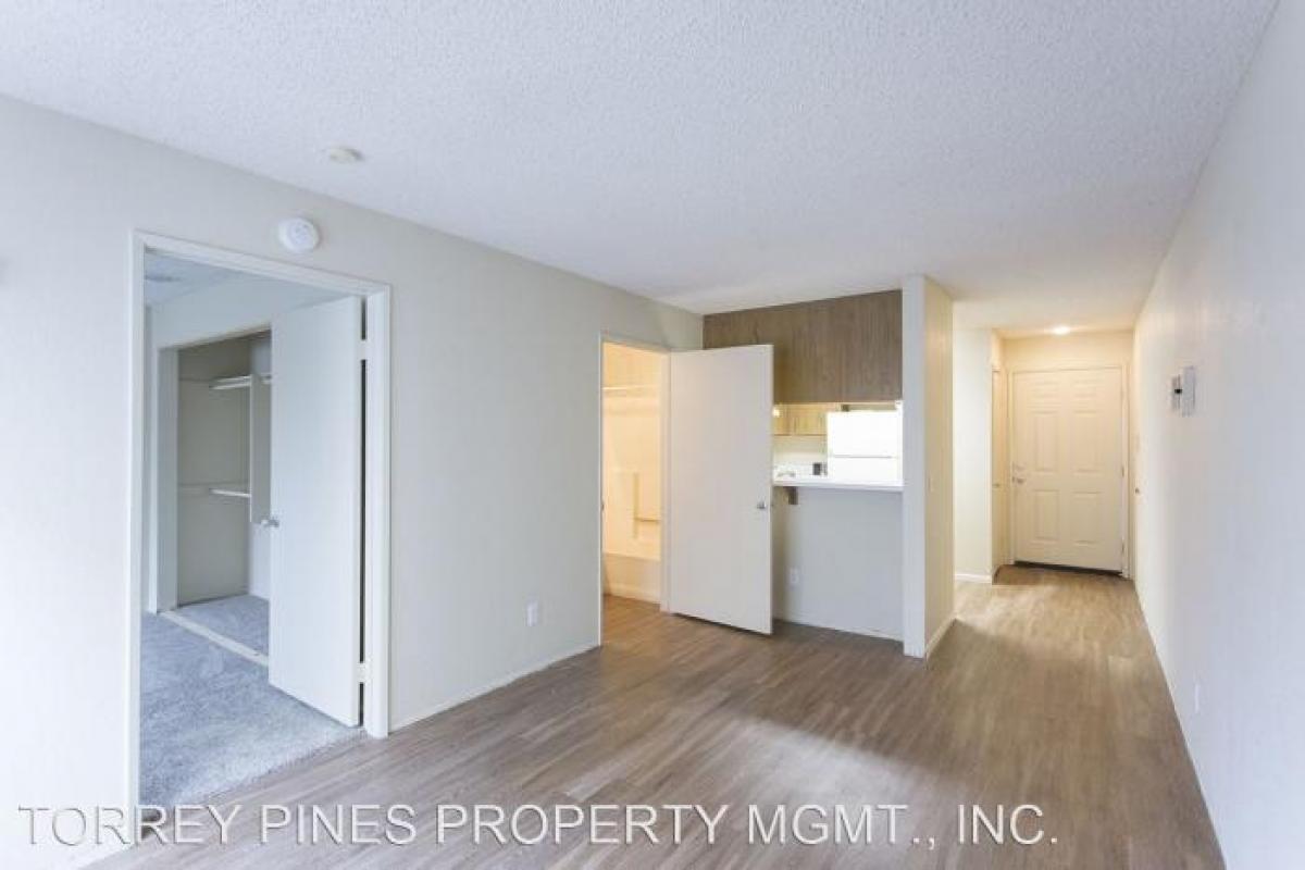 Picture of Apartment For Rent in San Diego, California, United States