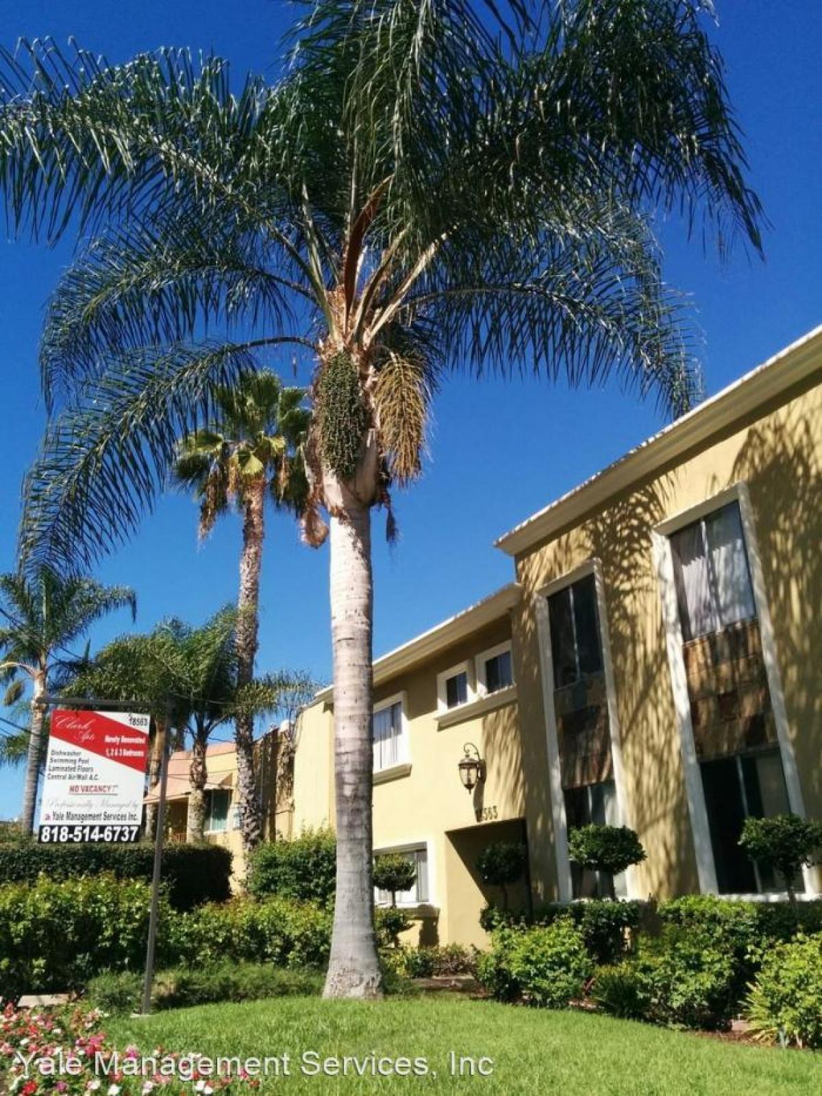 Picture of Apartment For Rent in Tarzana, California, United States