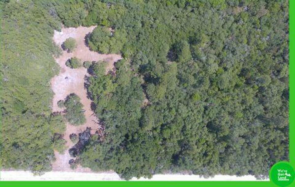 Picture of Residential Land For Sale in Perry, Florida, United States