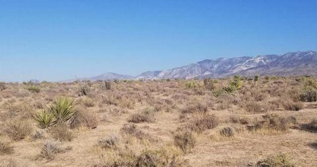 Picture of Residential Land For Sale in Lucerne Valley, California, United States