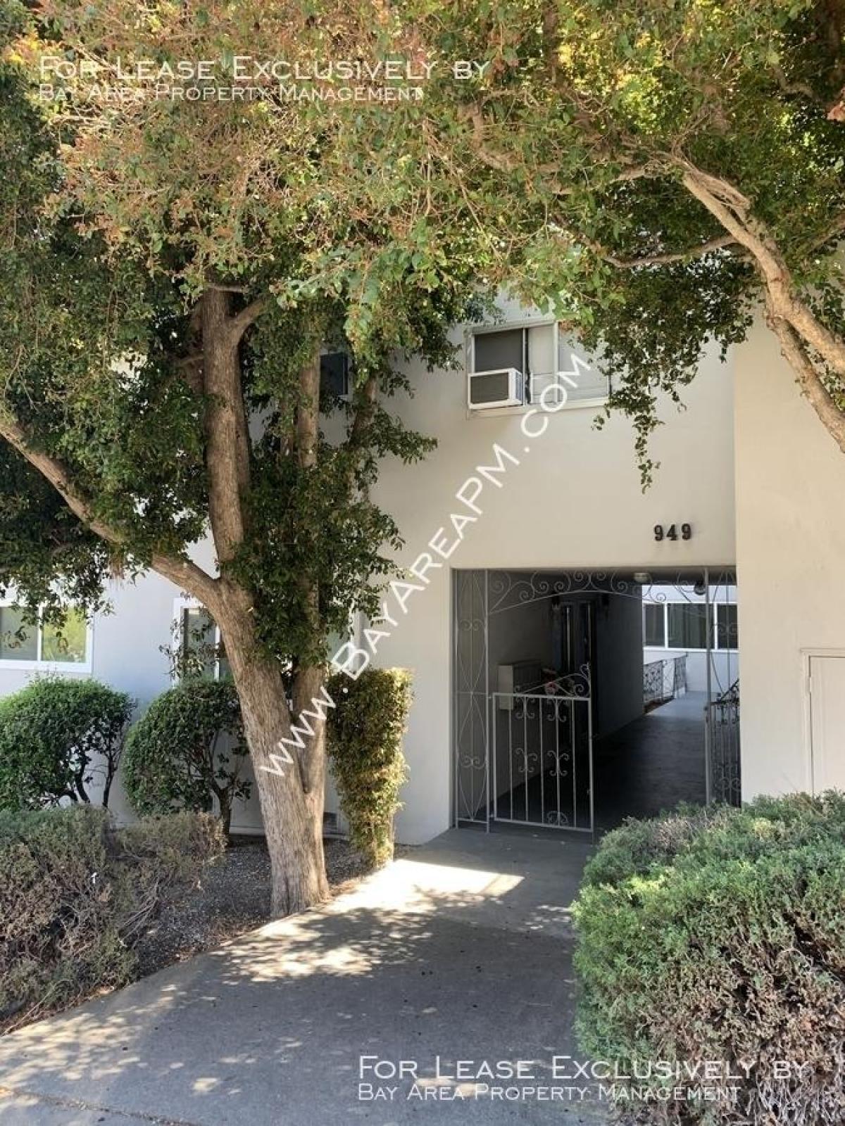 Picture of Apartment For Rent in Belmont, California, United States