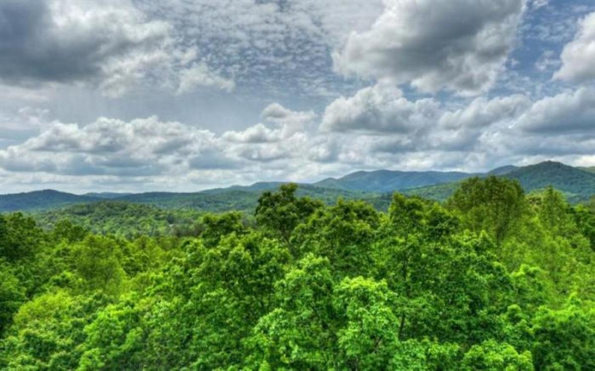 Picture of Residential Land For Sale in Ellijay, Georgia, United States