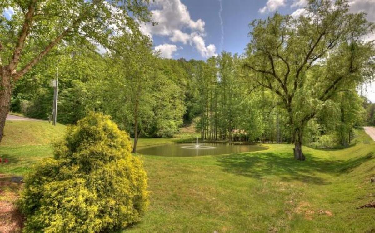 Picture of Residential Land For Sale in Ellijay, Georgia, United States