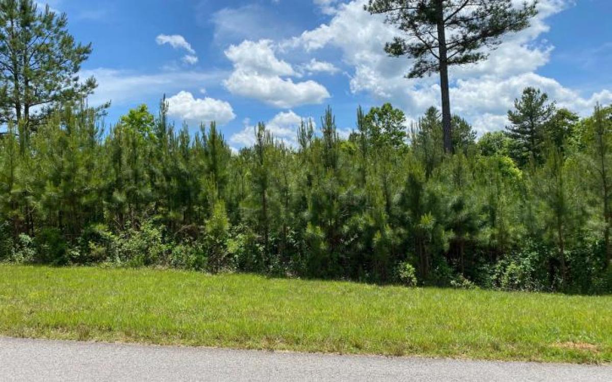 Picture of Residential Land For Sale in Blairsville, Georgia, United States