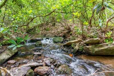 Residential Land For Sale in Ellijay, Georgia