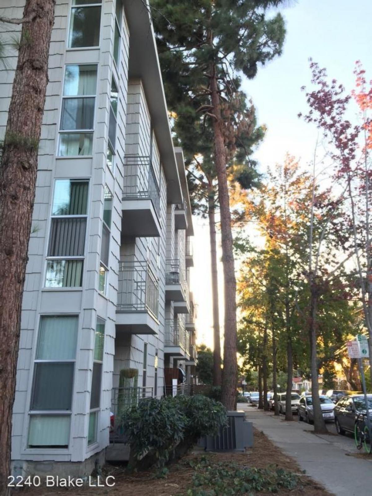 Picture of Apartment For Rent in Berkeley, California, United States