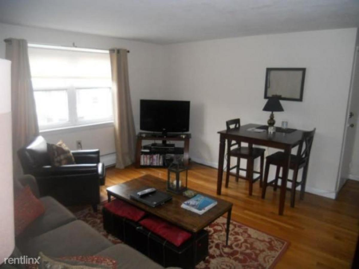 Picture of Apartment For Rent in Brighton, Massachusetts, United States