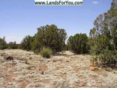 Residential Land For Sale in Concho, Arizona