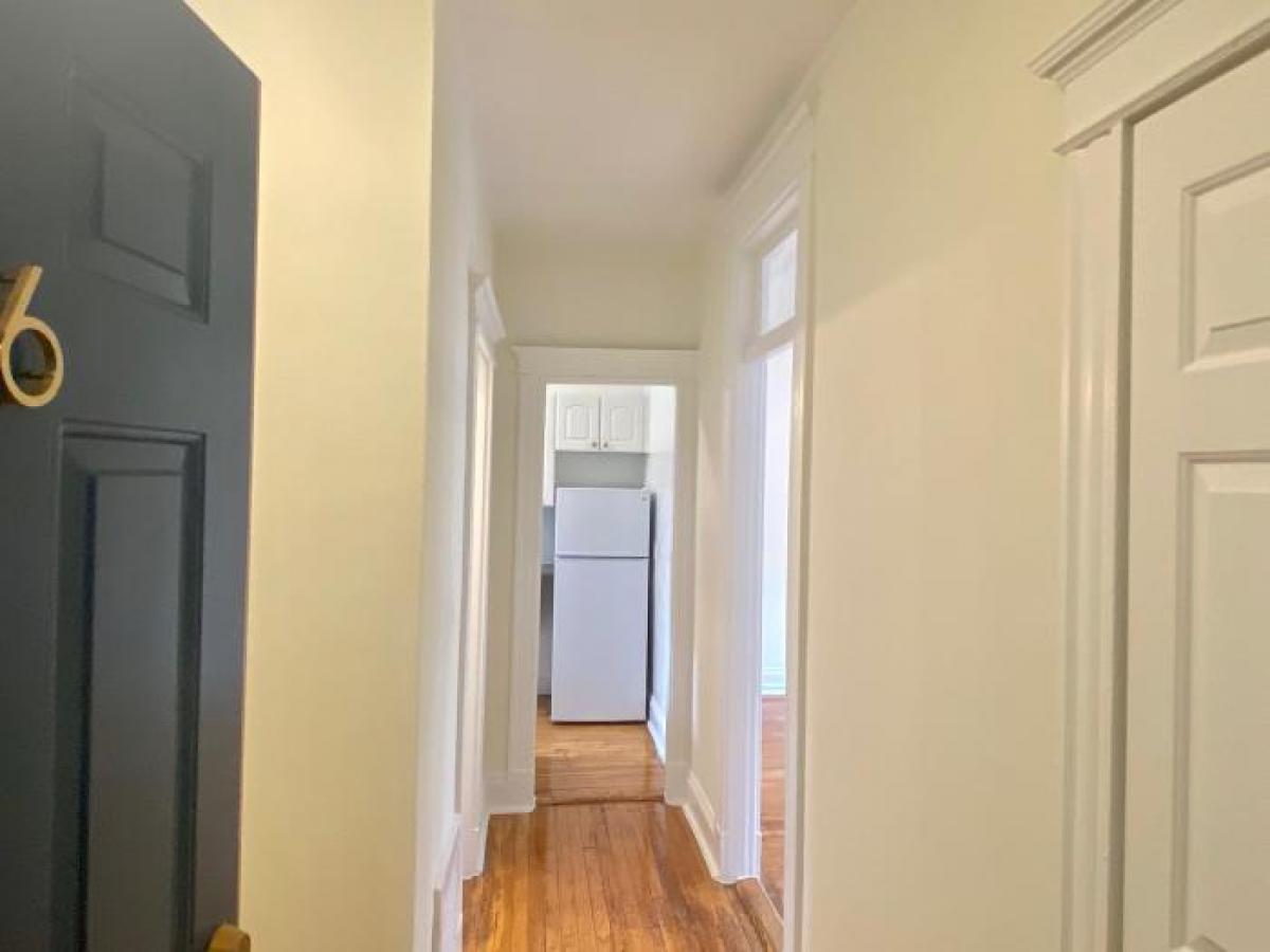 Picture of Apartment For Rent in Brighton, Massachusetts, United States