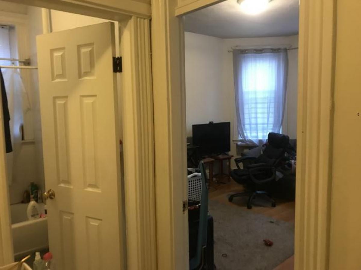 Picture of Apartment For Rent in Brighton, Massachusetts, United States