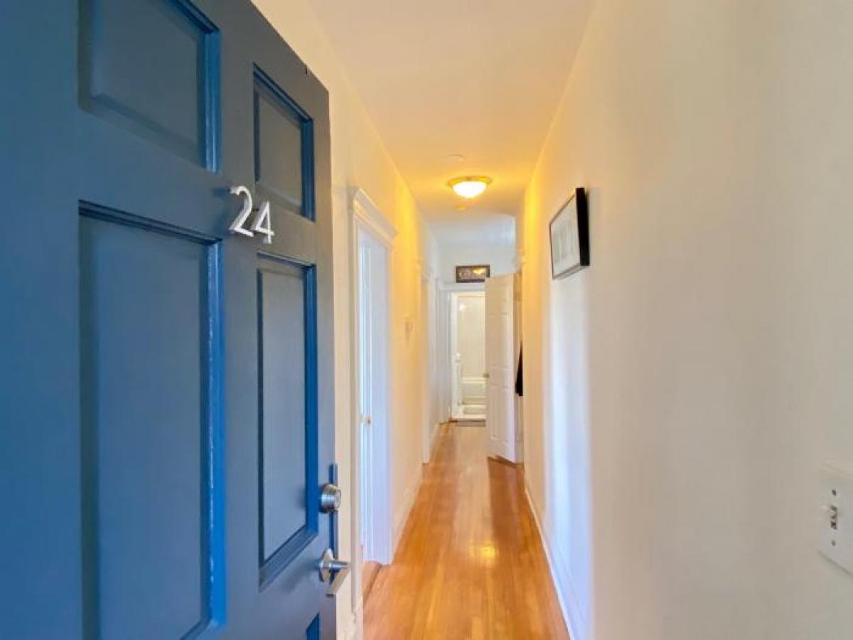 Picture of Apartment For Rent in Brighton, Massachusetts, United States