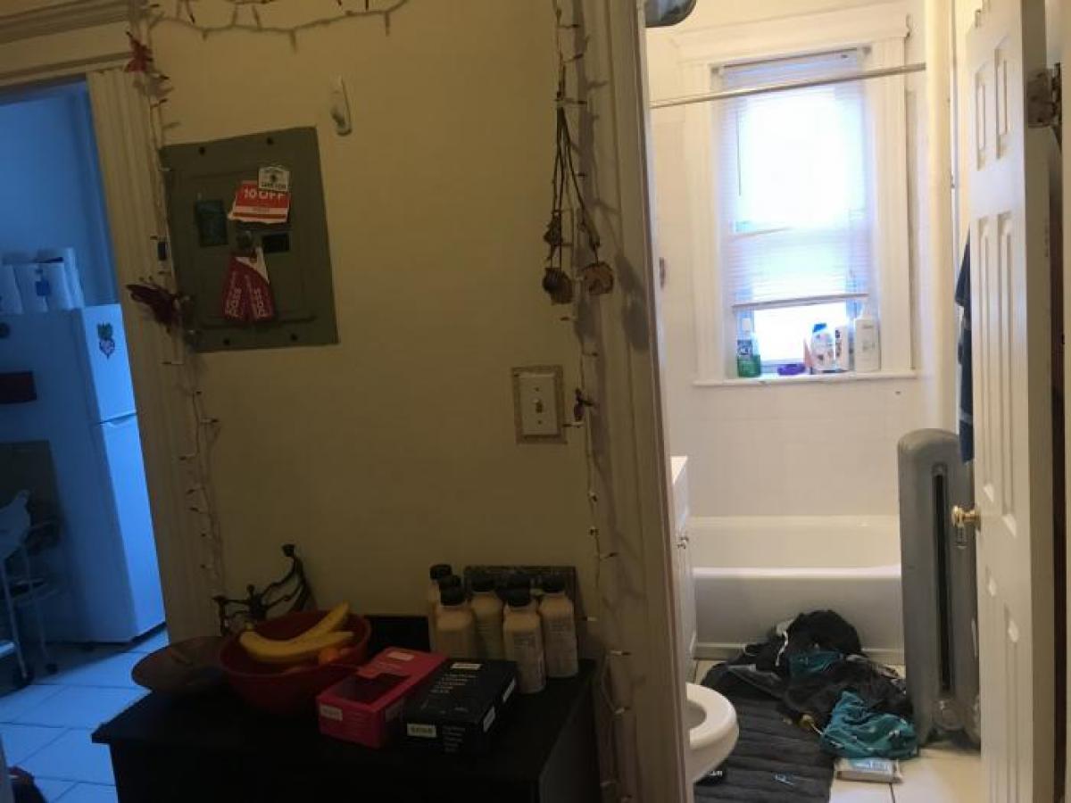 Picture of Apartment For Rent in Brighton, Massachusetts, United States