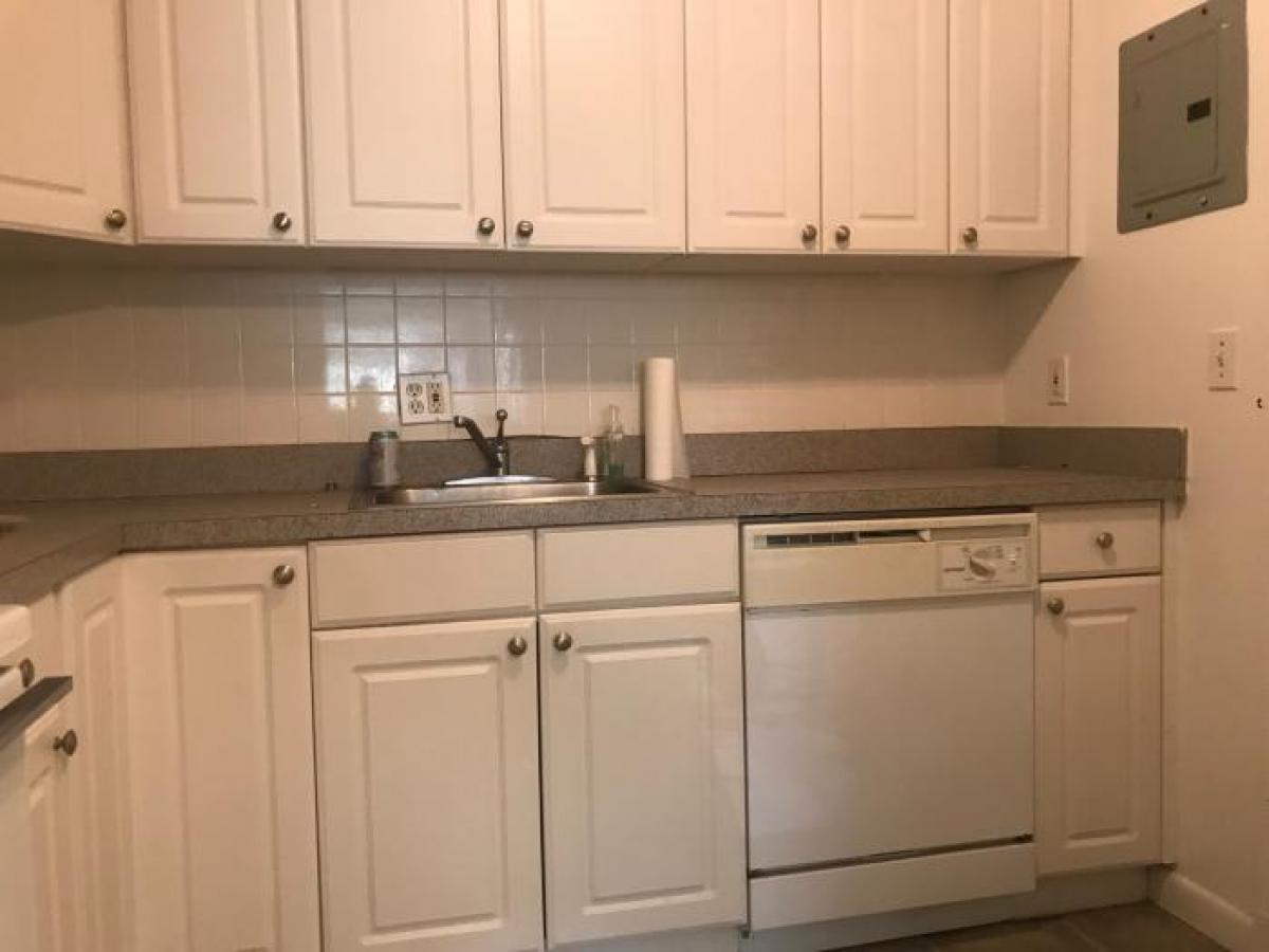Picture of Apartment For Rent in Brighton, Massachusetts, United States