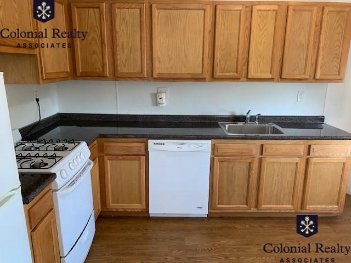 Picture of Apartment For Rent in Brighton, Massachusetts, United States