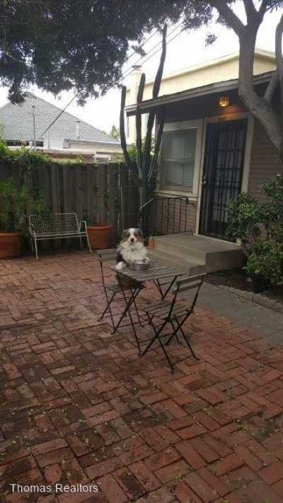 Apartment For Rent in San Diego, California