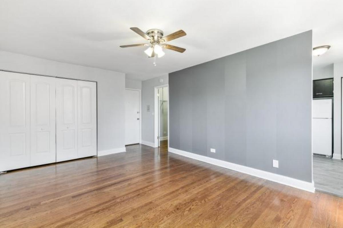 Picture of Condo For Rent in Chicago, Illinois, United States