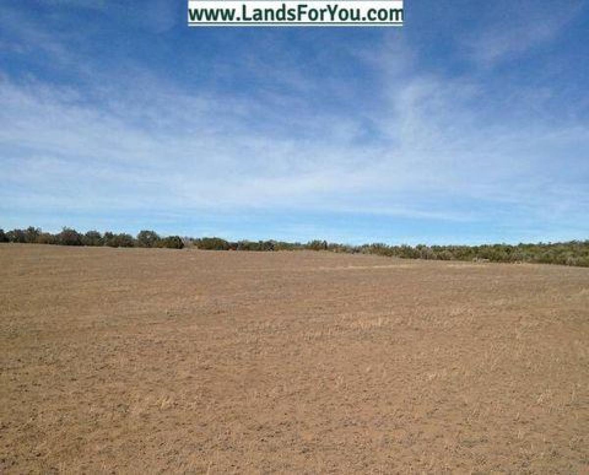 Picture of Residential Land For Sale in Concho, Arizona, United States