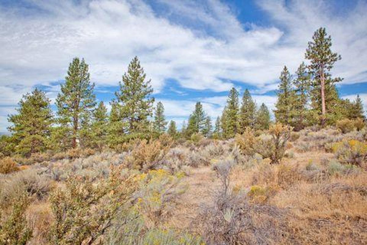 Picture of Residential Land For Sale in Chiloquin, Oregon, United States