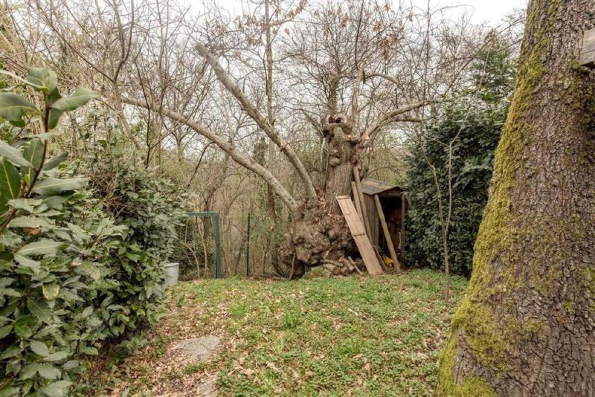 Picture of Apartment For Sale in Florence, Tuscany, Italy