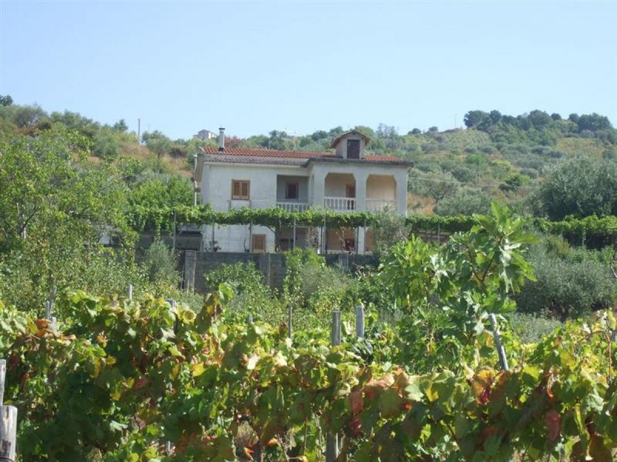 Picture of Villa For Sale in Orsomarso, Cosenza, Italy