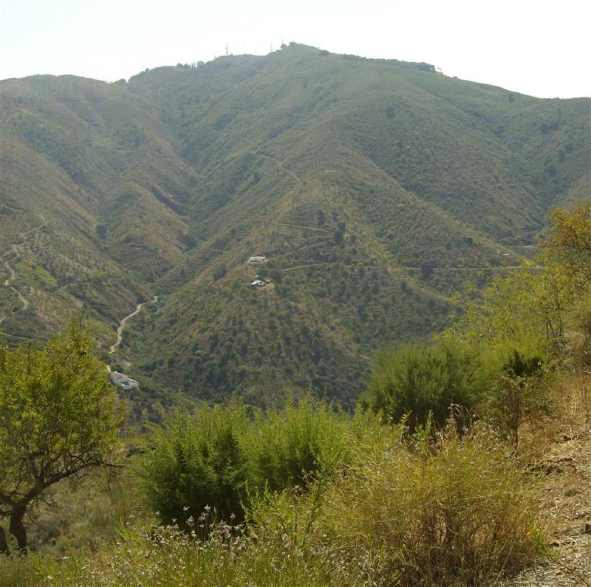 Picture of Home For Sale in Malaga, Malaga, Spain