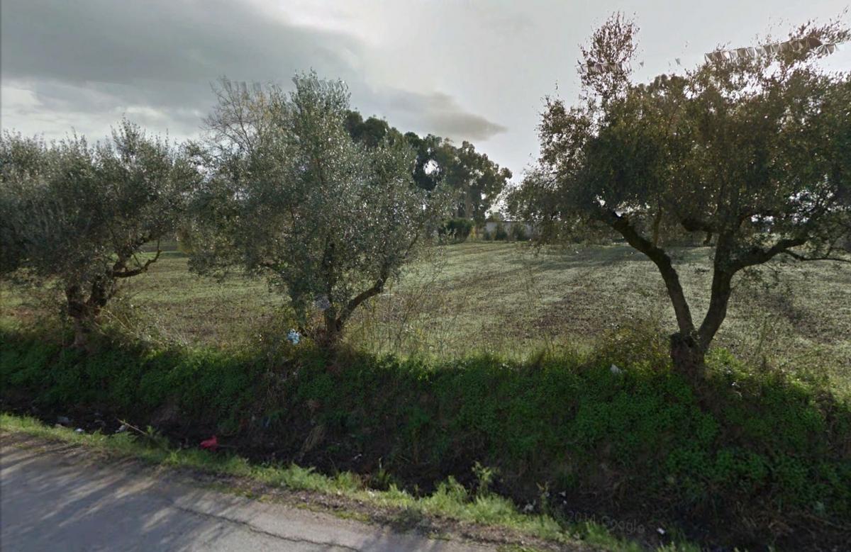 Picture of Residential Land For Sale in Zakinthos, Saint George, Greece