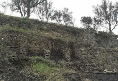 Residential Land For Sale in Peso Da Regua, Portugal