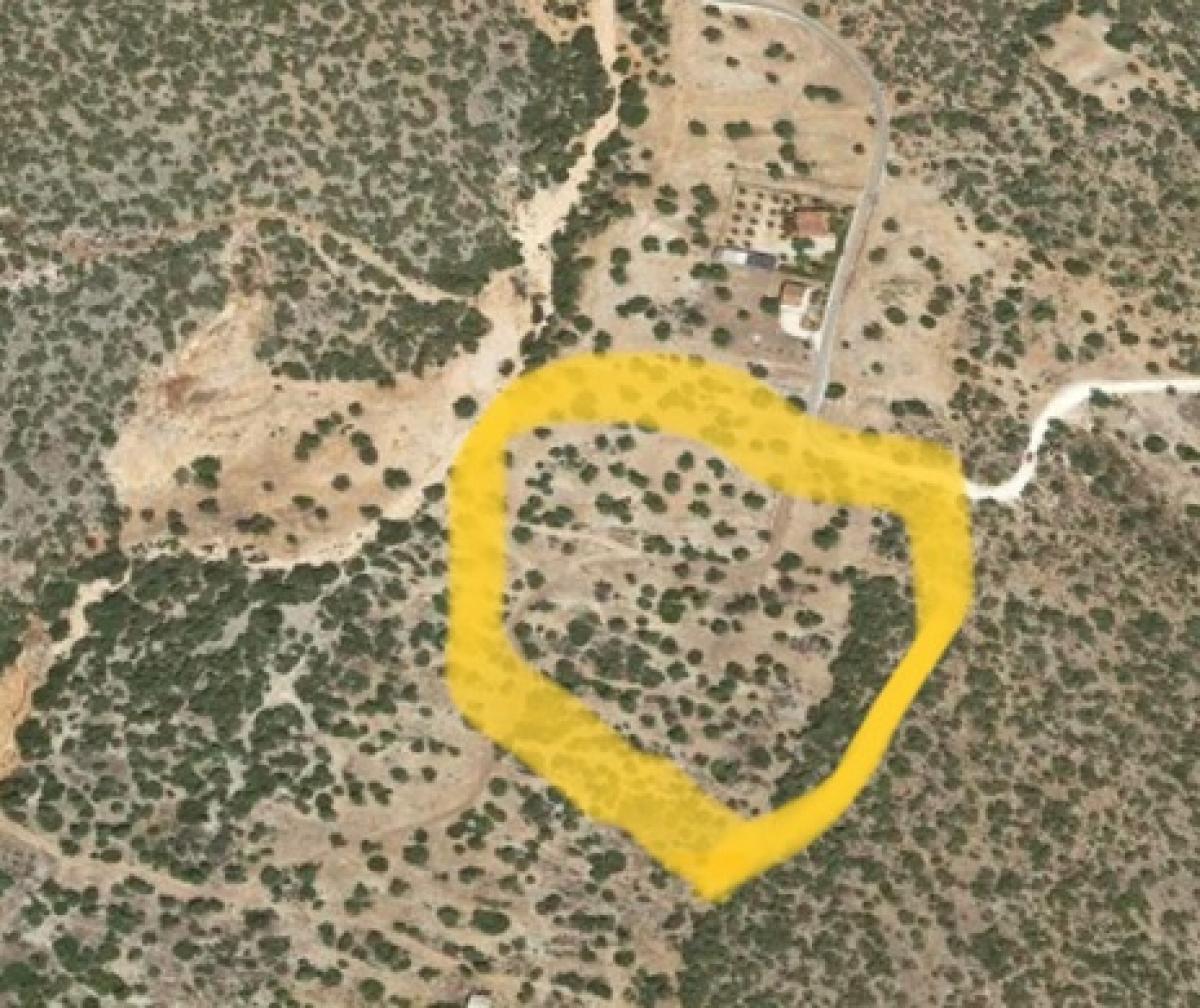 Picture of Residential Land For Sale in Didima, Famagusta, Greece