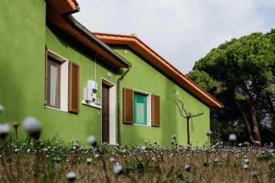 Villa For Sale in Elba, Italy