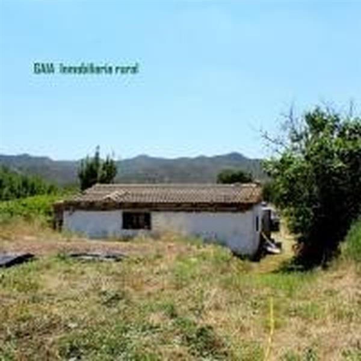 Picture of Home For Sale in Nonaspe, Canary Islands, Spain