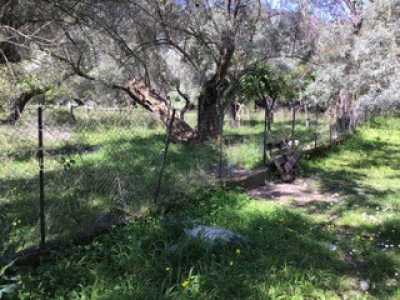 Residential Land For Sale in Rachi, Greece
