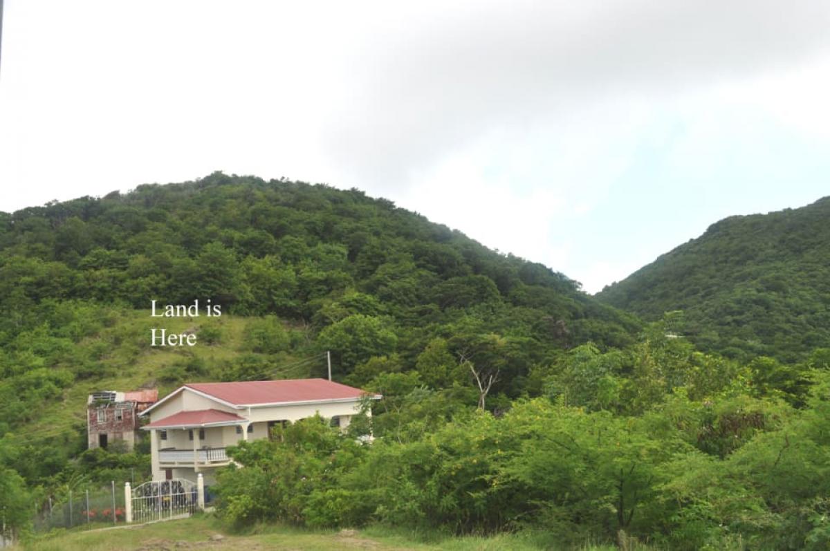 Picture of Residential Land For Sale in Saint George's, Saint George, Grenada