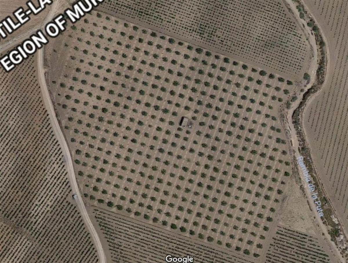 Picture of Residential Land For Sale in Yecla, Murcia, Spain