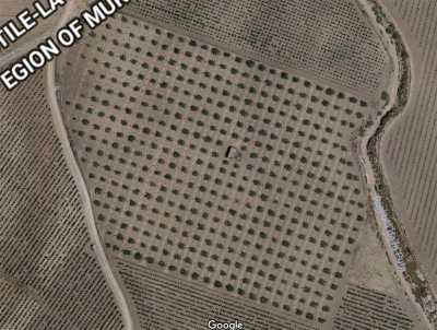 Residential Land For Sale in 