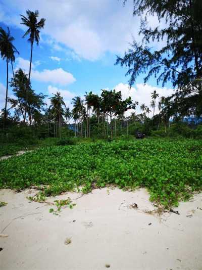Residential Land For Sale in Koh Samui, Thailand