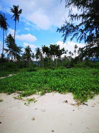 Residential Land For Sale in Koh Samui, Thailand