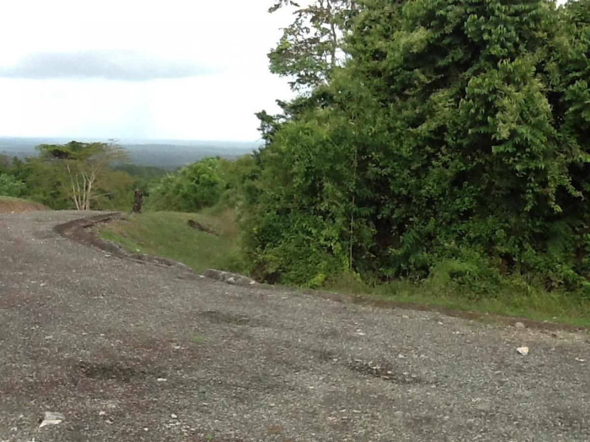 Picture of Residential Land For Sale in Siquirres, Limon, Costa Rica